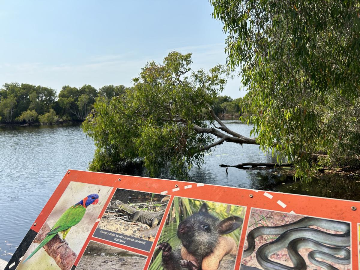 Town Lagoon platform 