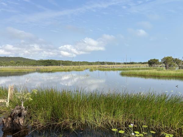 Town Lagoon walking trail end